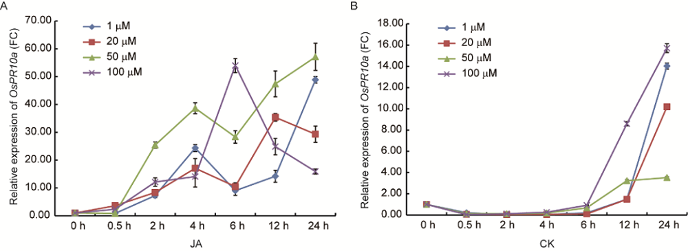 Regulation Of Ospr10a Promoter Activity By Phytohormone And Pathogen